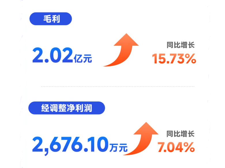 路歌2025年上半年业绩表现