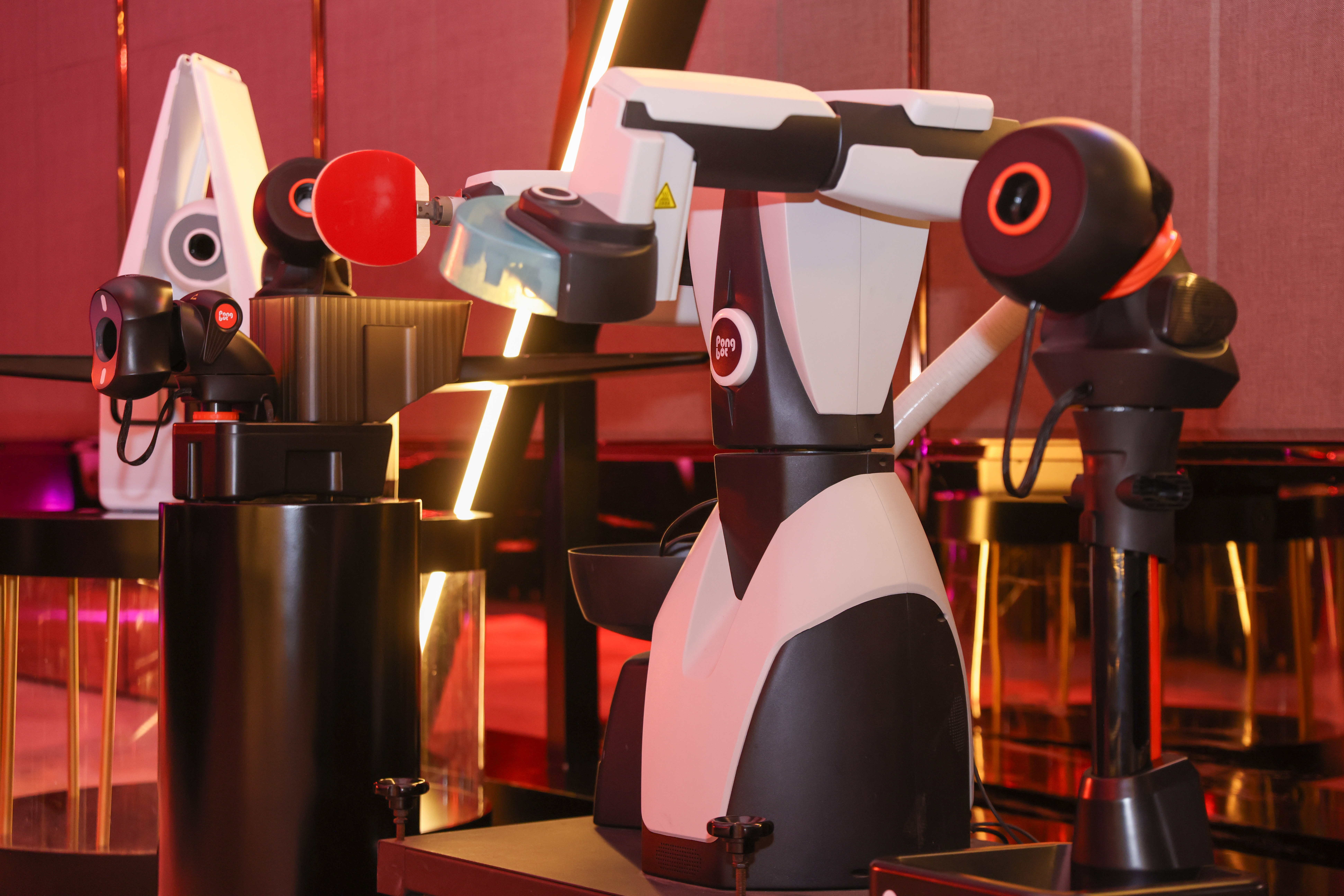 头部资本押注，做发球机器人的庞伯特半年融资2亿