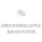 芯片飞涨的AI时代，为什么“租算力”的反而成了赢家？