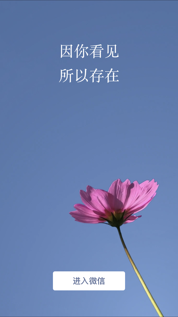 被广泛传播的开机界面。