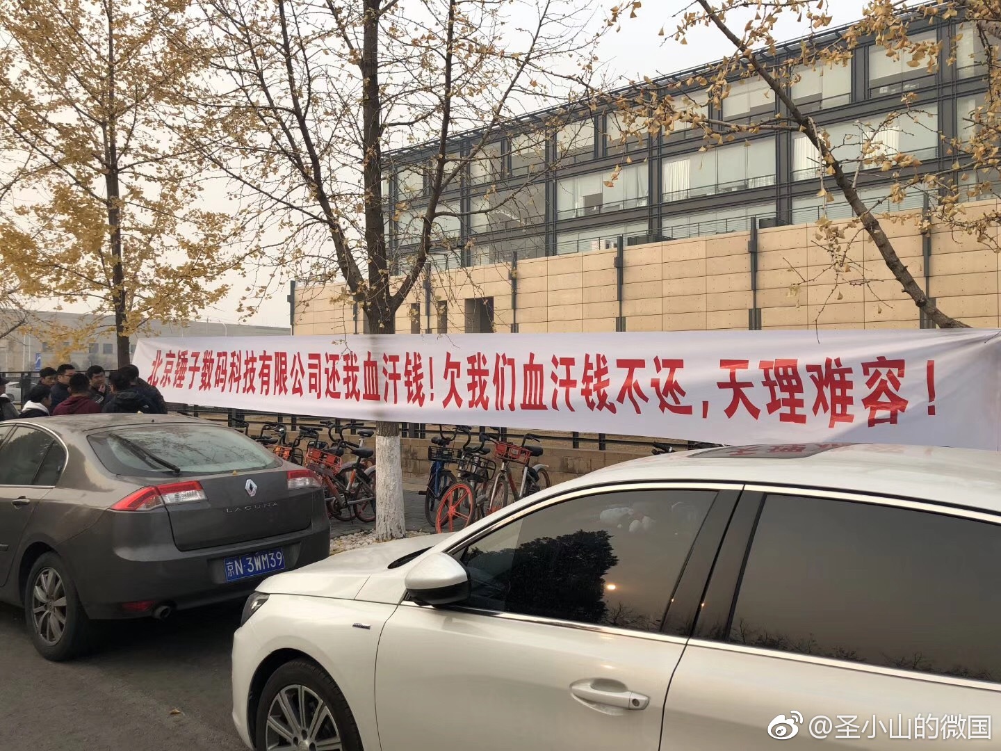 锤子北京办公室外闪现欠钱不还横幅 前员工称公司非锤粉离职率高